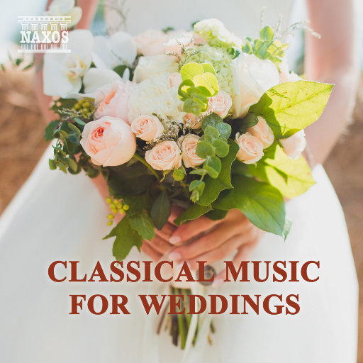 成全高清免费完整观看夫妻操屄视频
